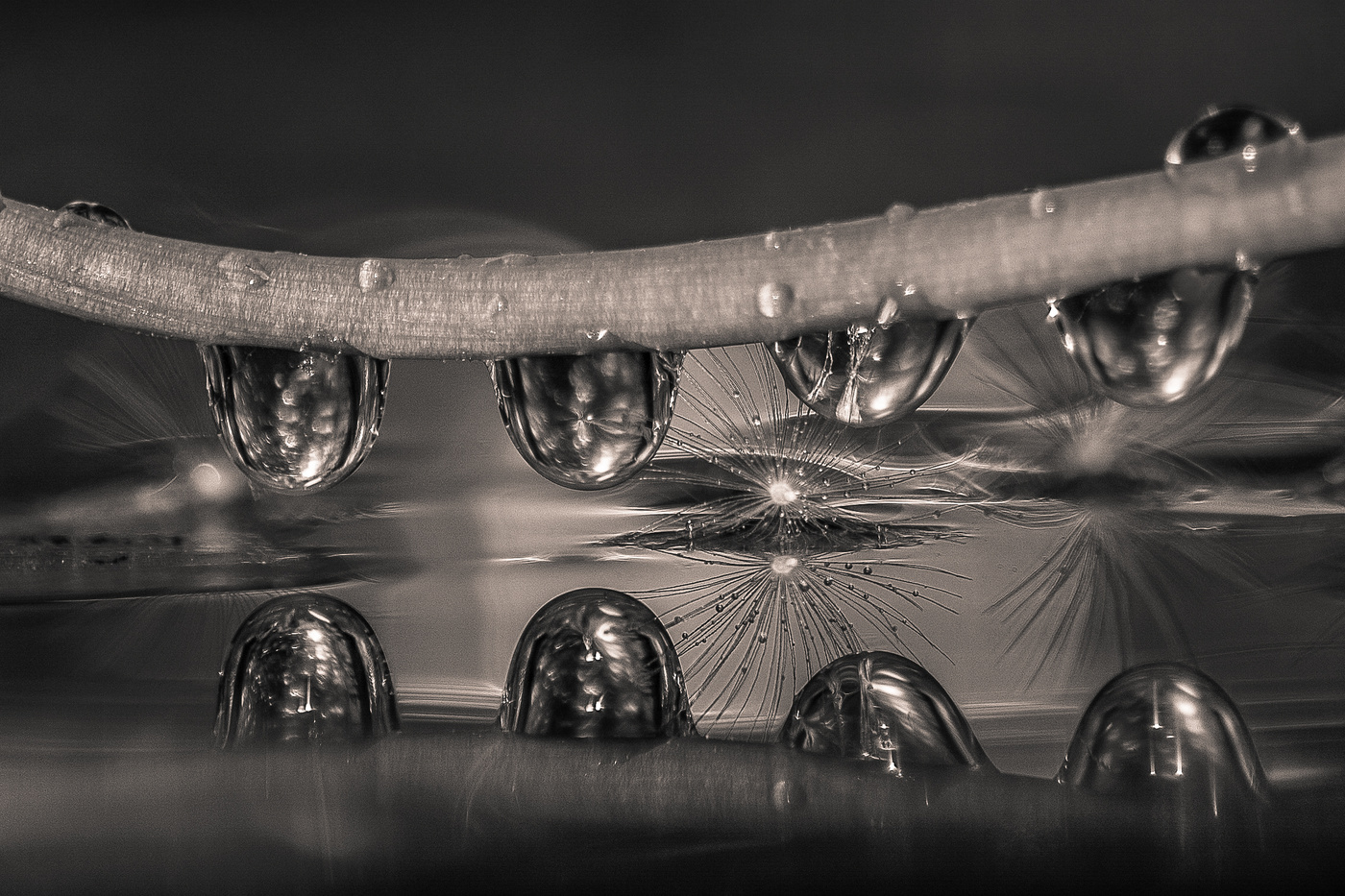 Gotas al blanco y al negro.