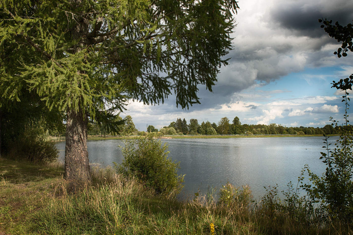 Auf Wiedersehen, Sommer!