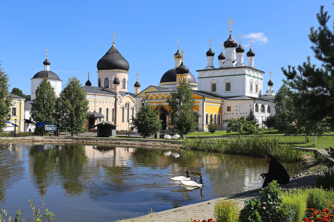 Ascension David Wüsten