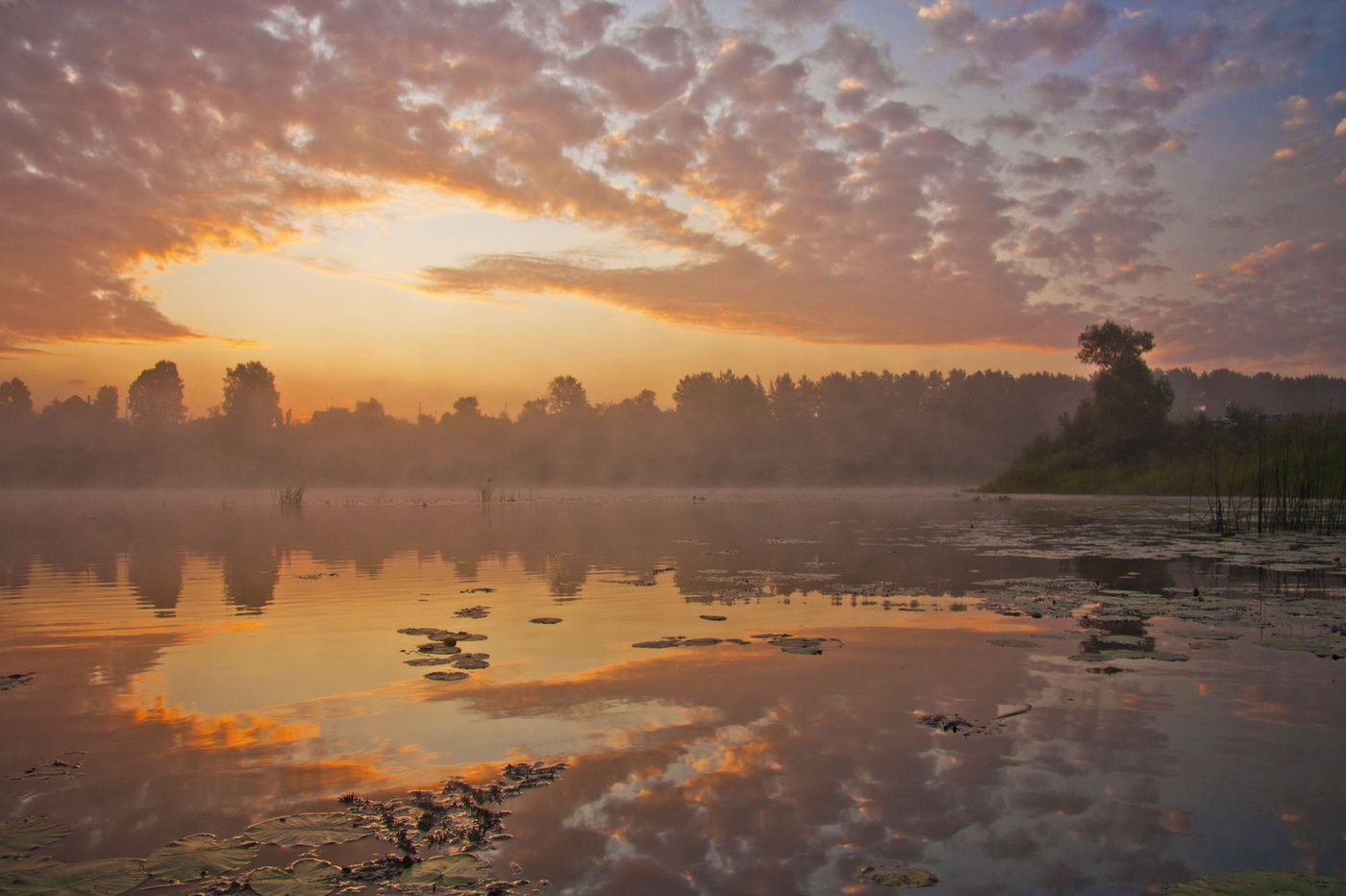 Memories of Summer ...