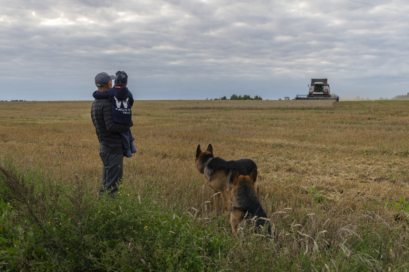 Zeichen des Herbstes