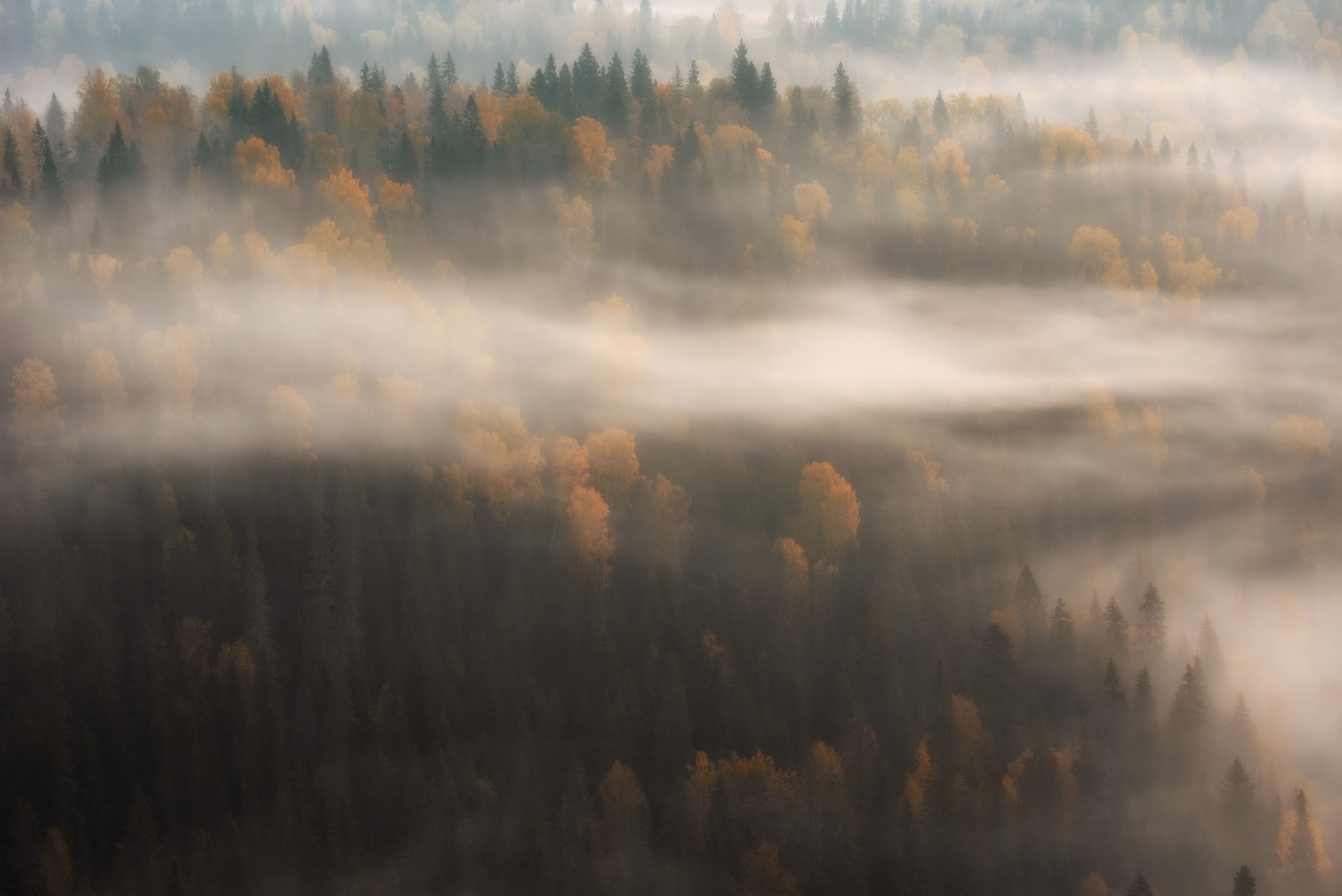 Herbstnebel