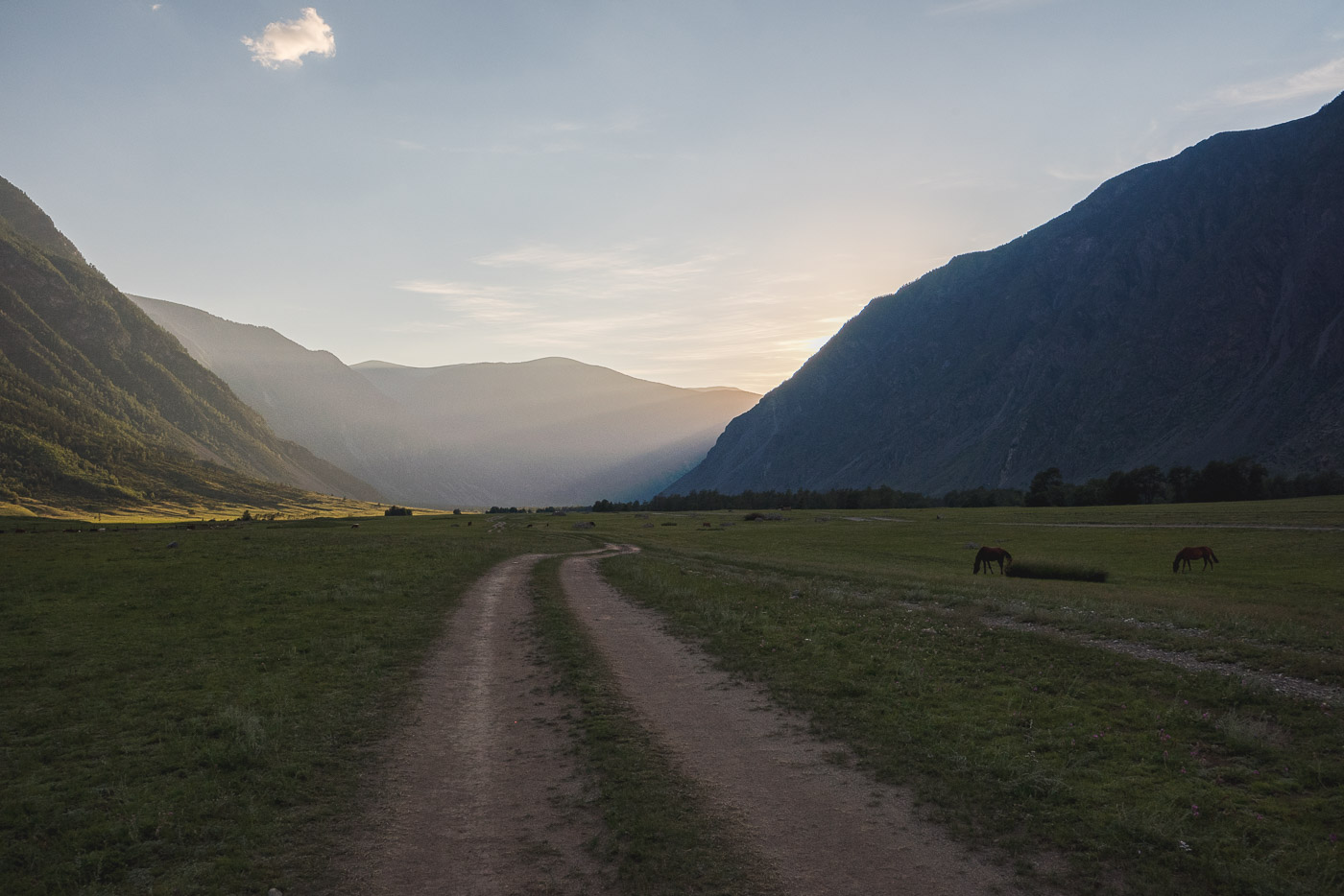 Straßen, die wir wählen
