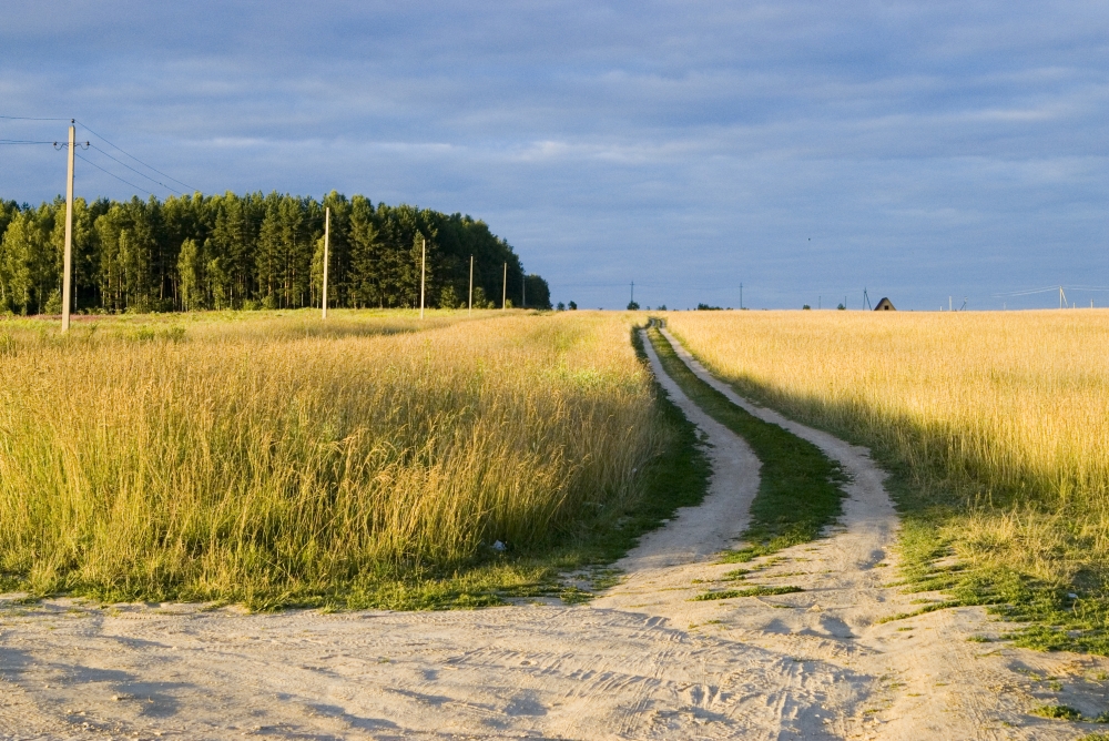Straßen, die wir wählen