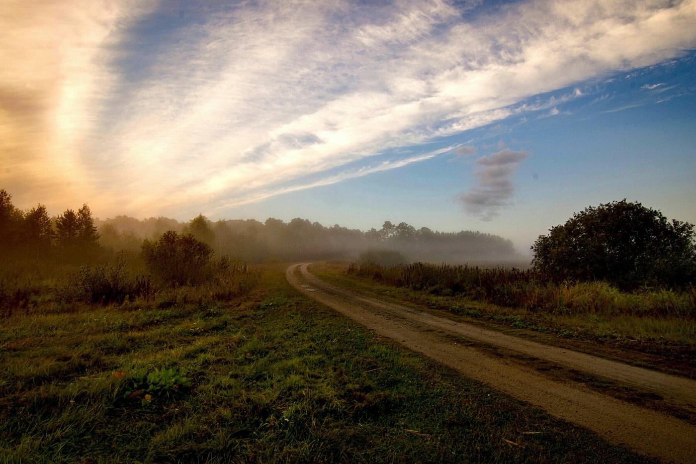 Straßen, die wir wählen
