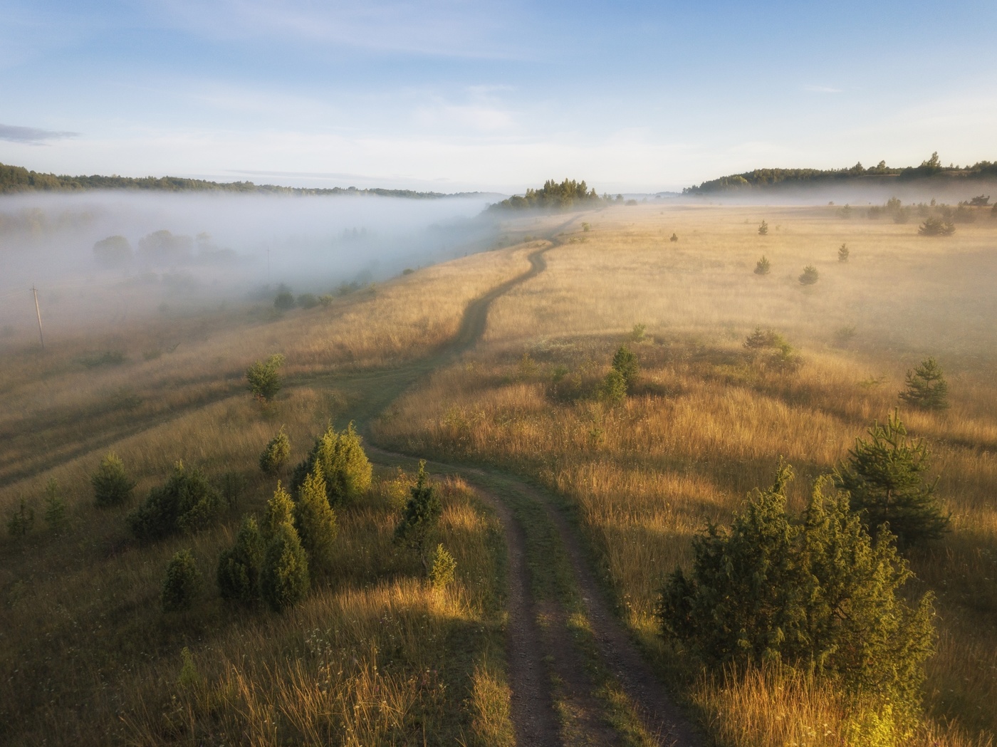Straßen, die wir wählen