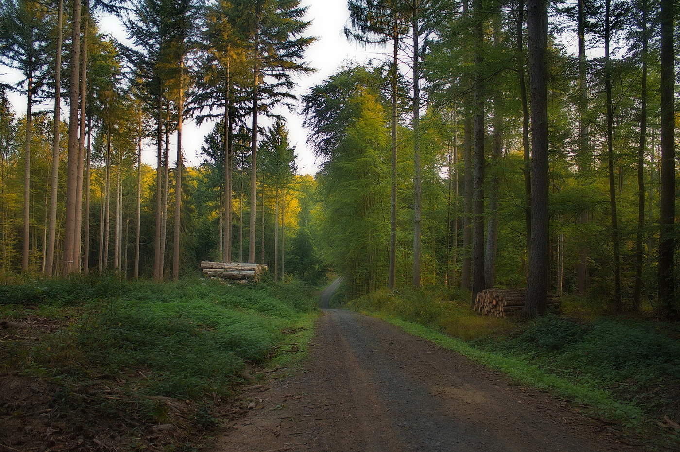 Straßen, die wir wählen