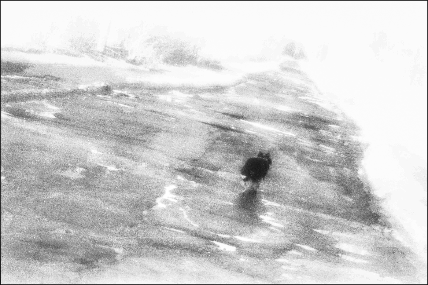 Straßen, die wir wählen