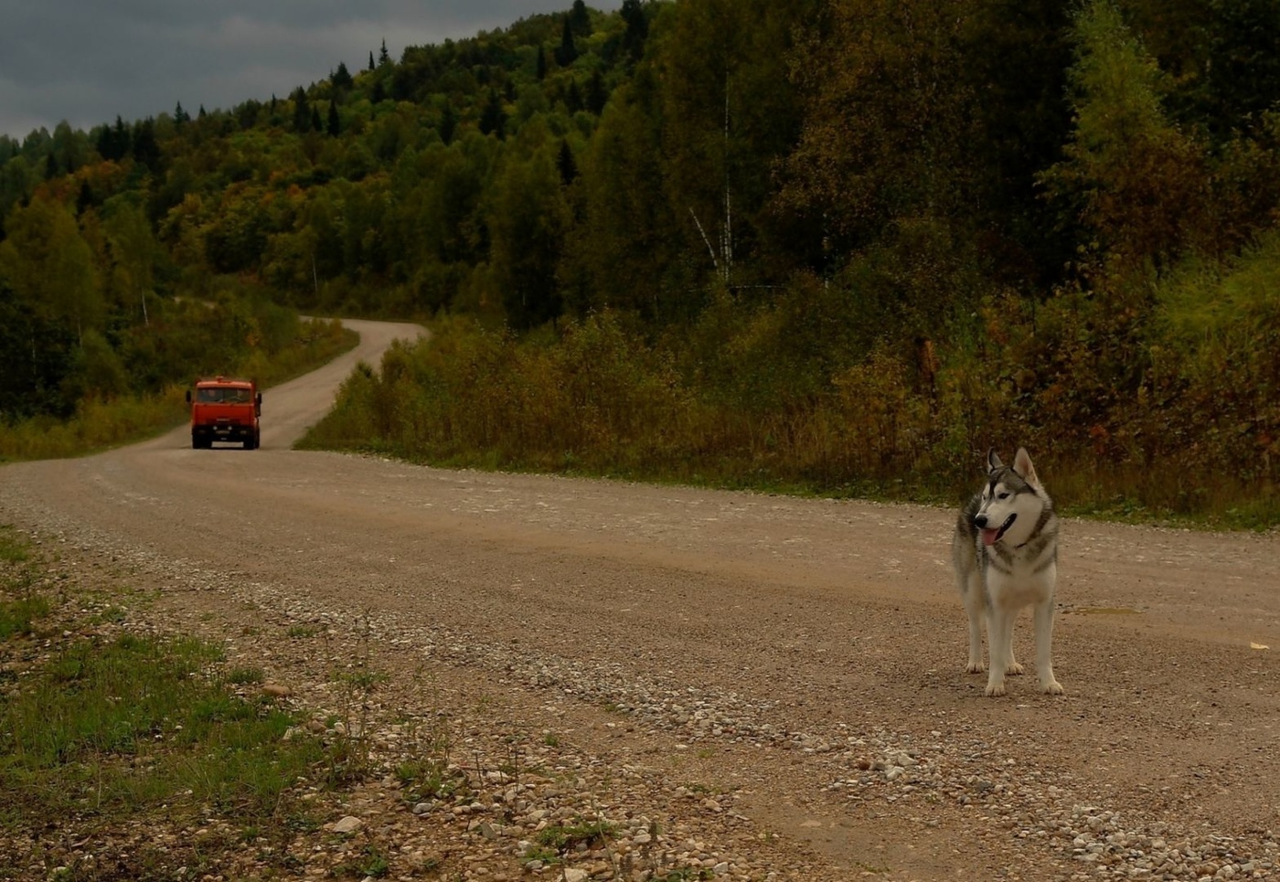 Straßen, die wir wählen