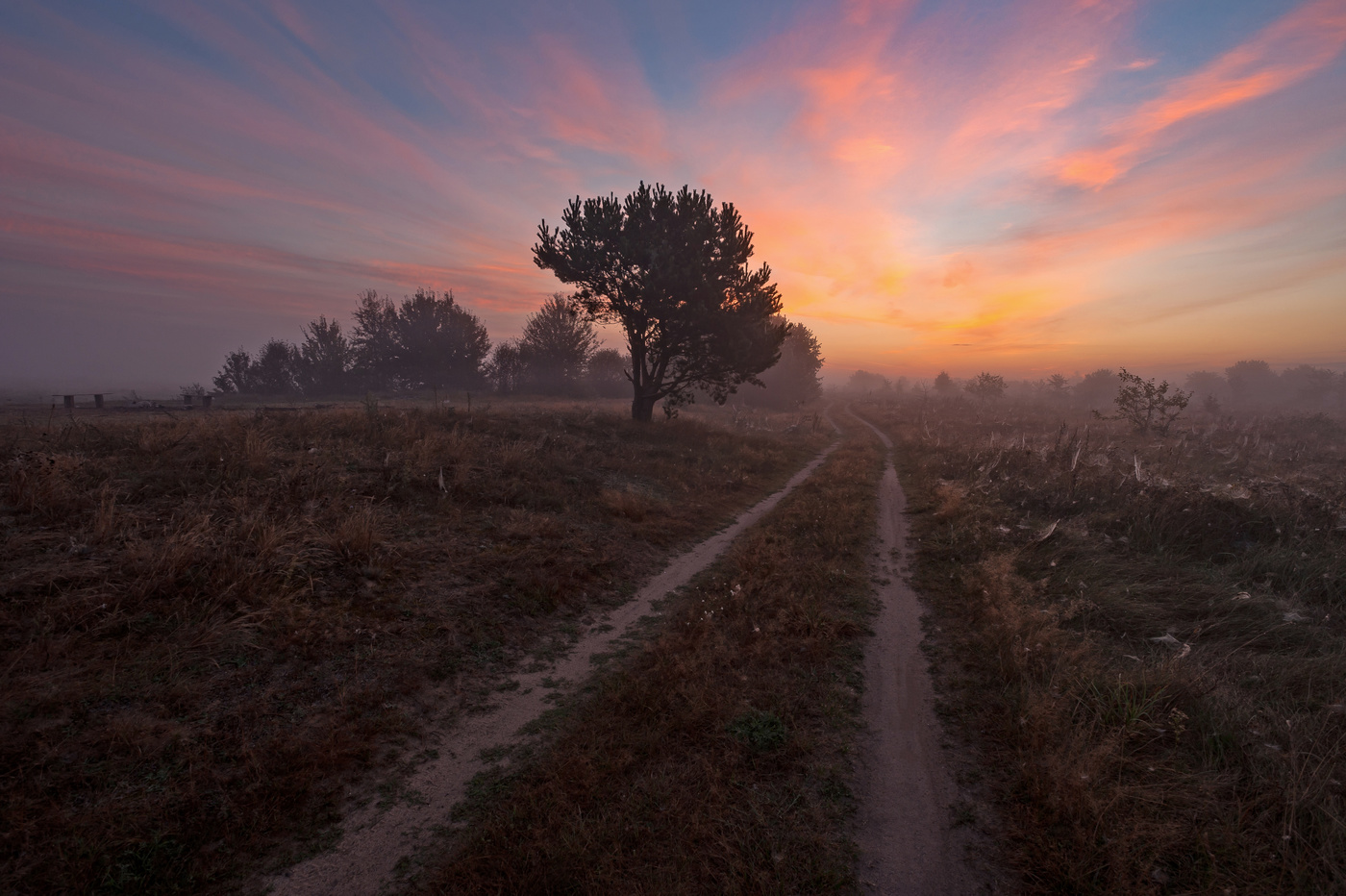 Straßen, die wir wählen
