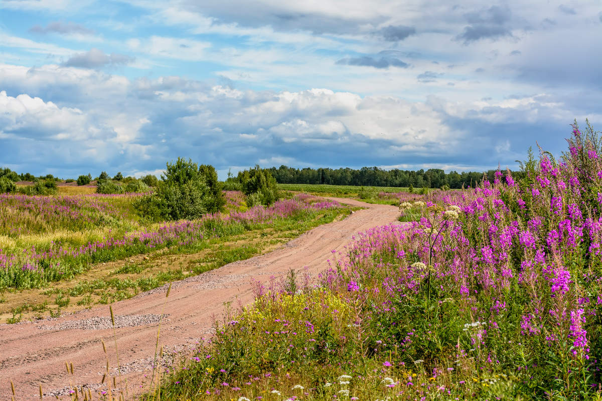 Straßen, die wir wählen