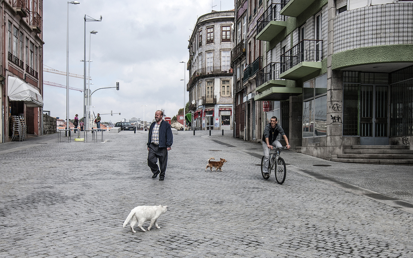 Straßen, die wir wählen