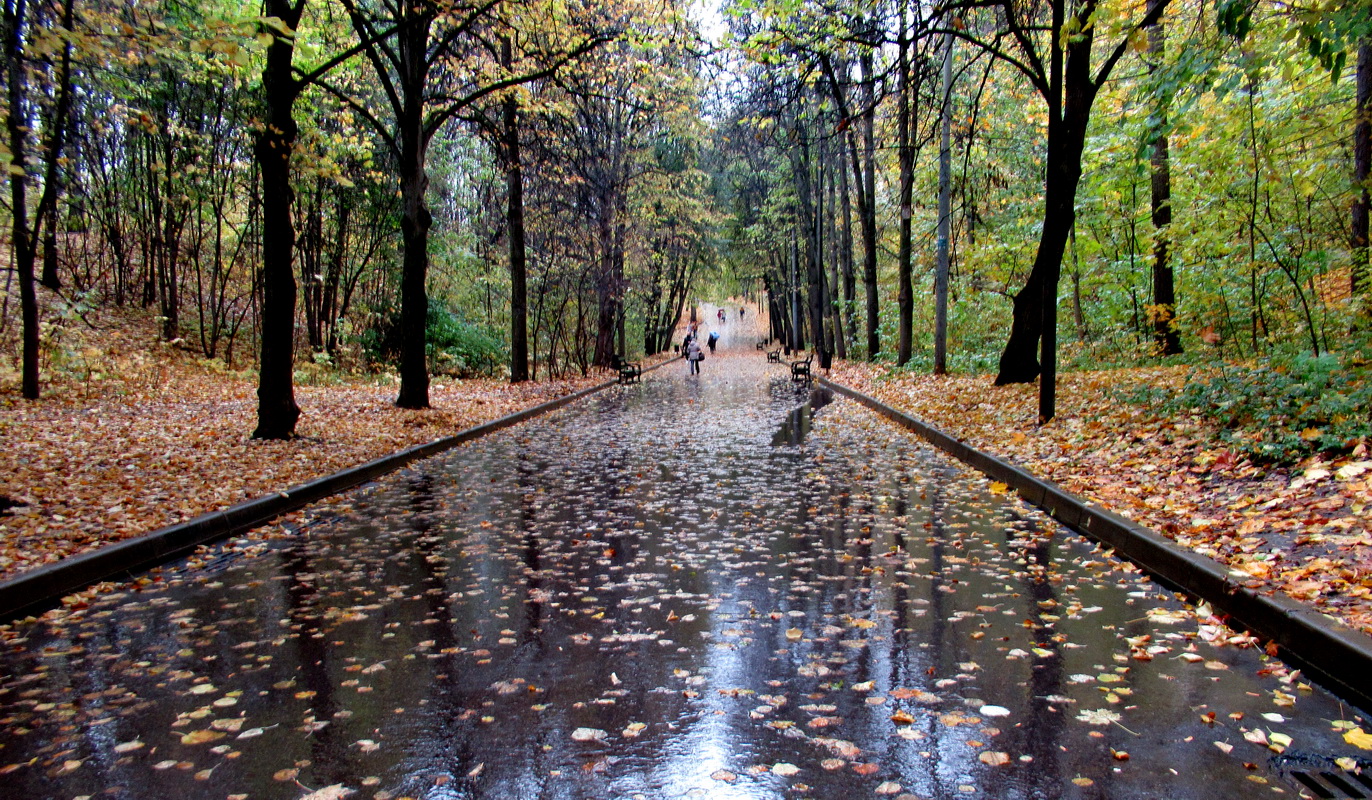 Straßen, die wir wählen