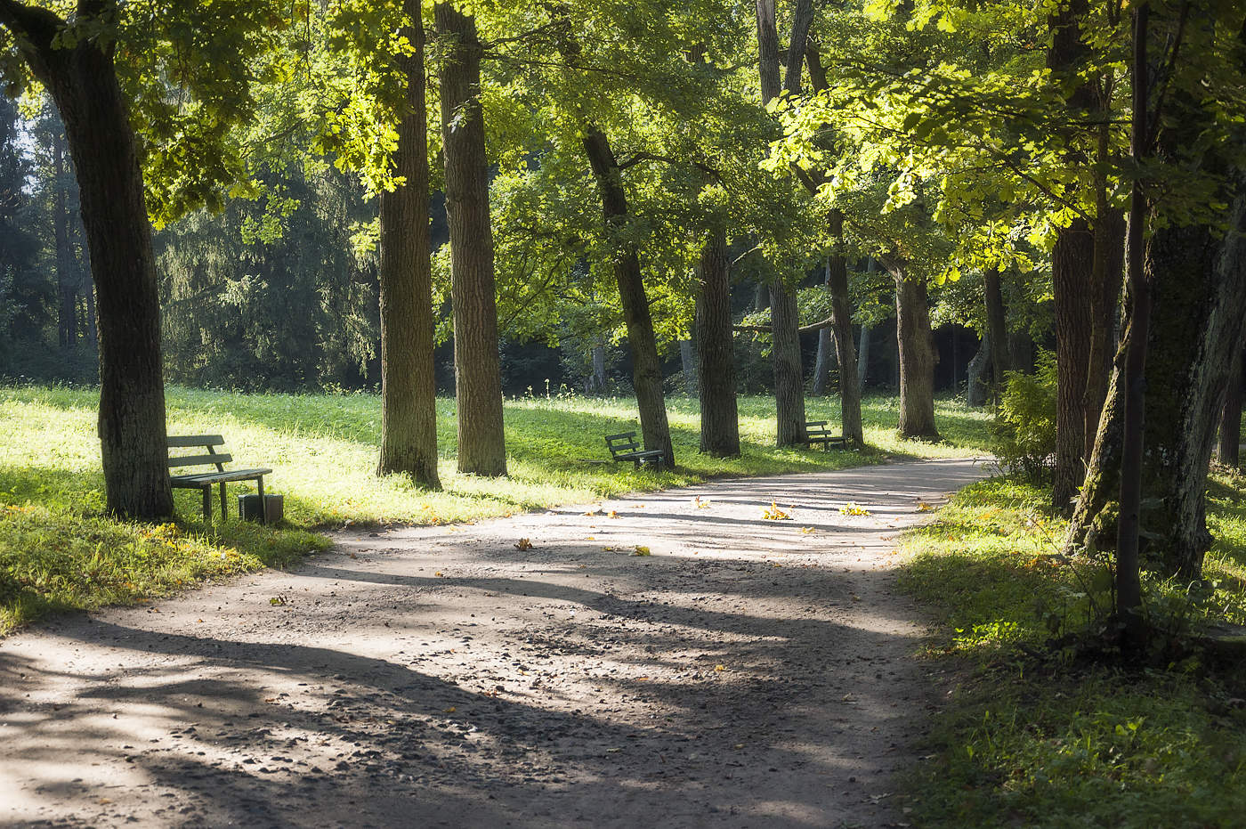 Straßen, die wir wählen