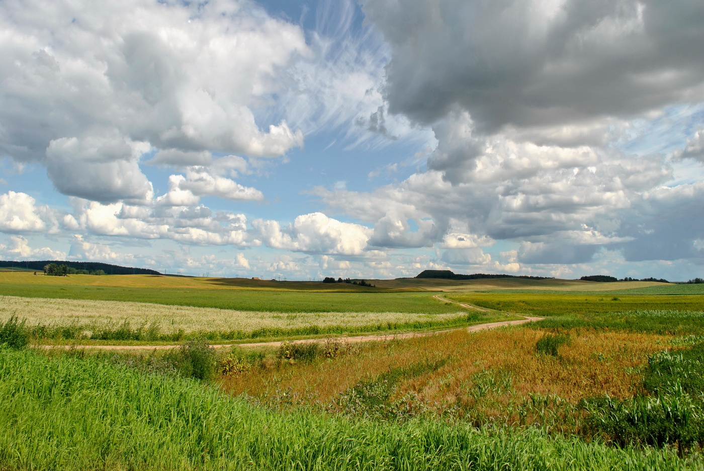Straßen, die wir wählen