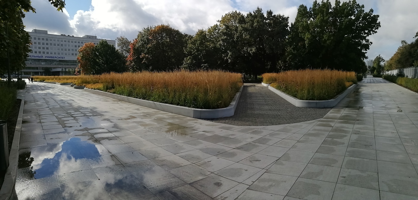 Straßen, die wir wählen