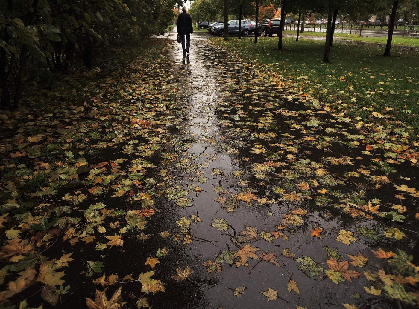 Straßen, die wir wählen