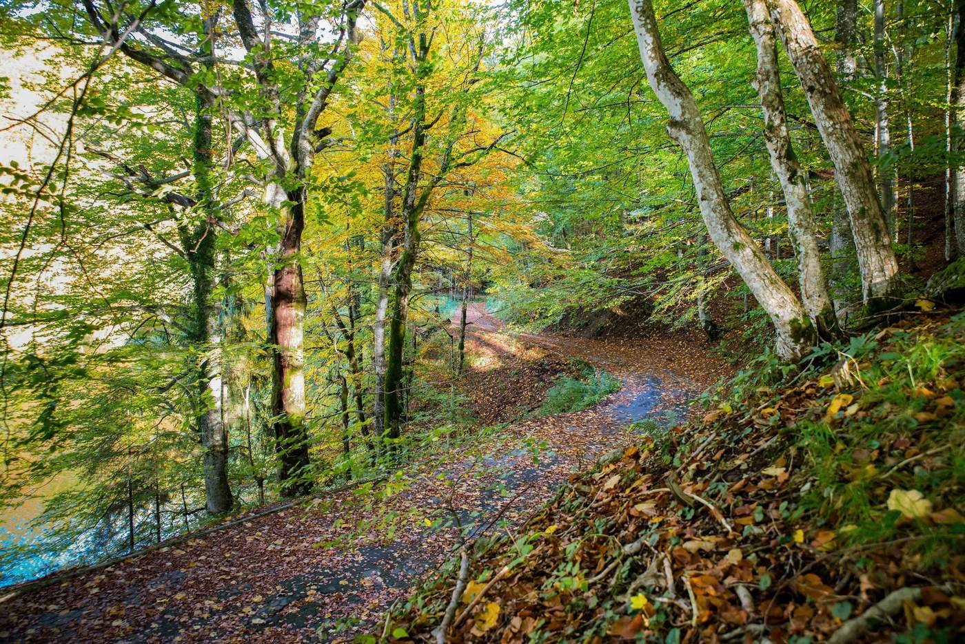 Straßen, die wir wählen