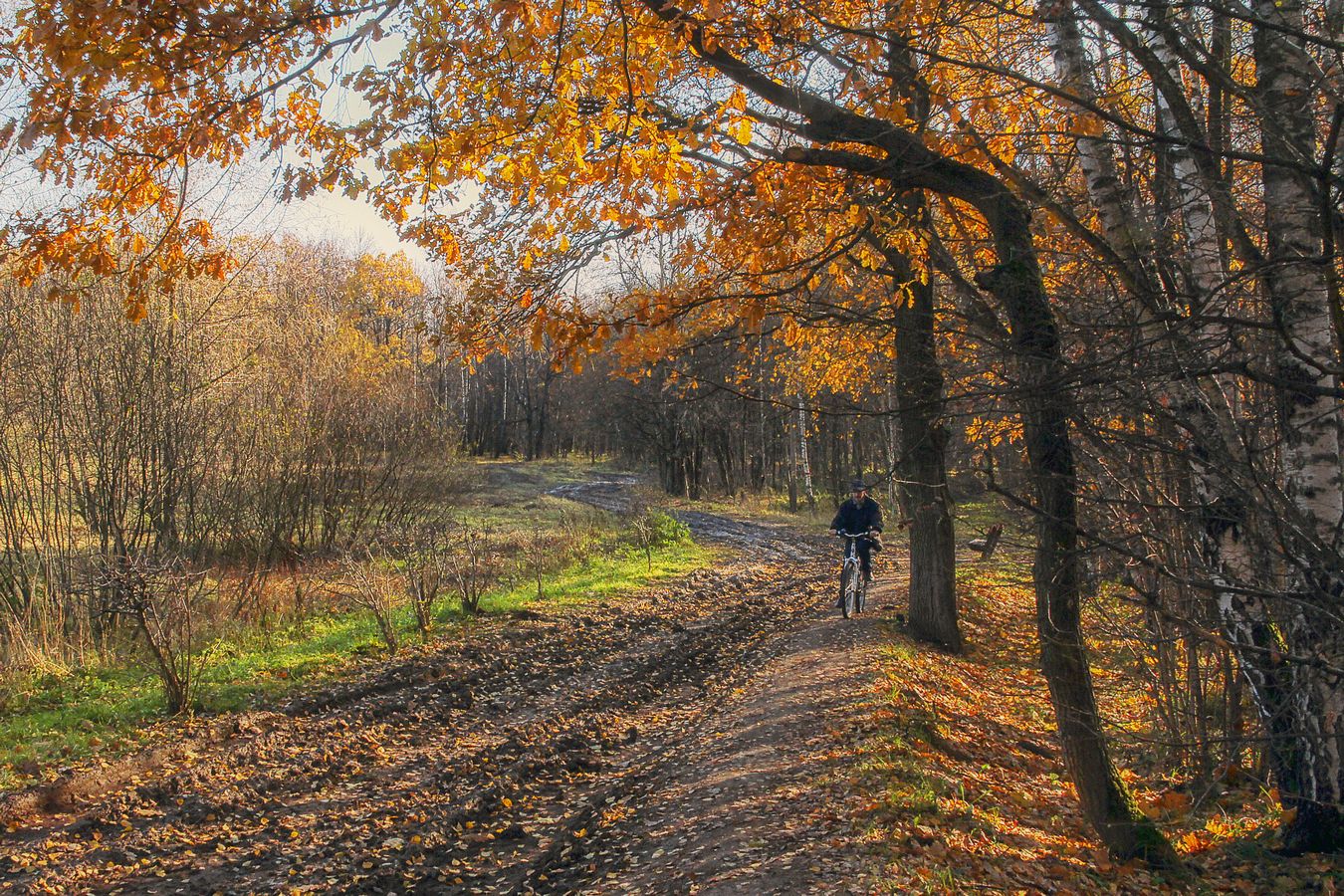 Straßen, die wir wählen