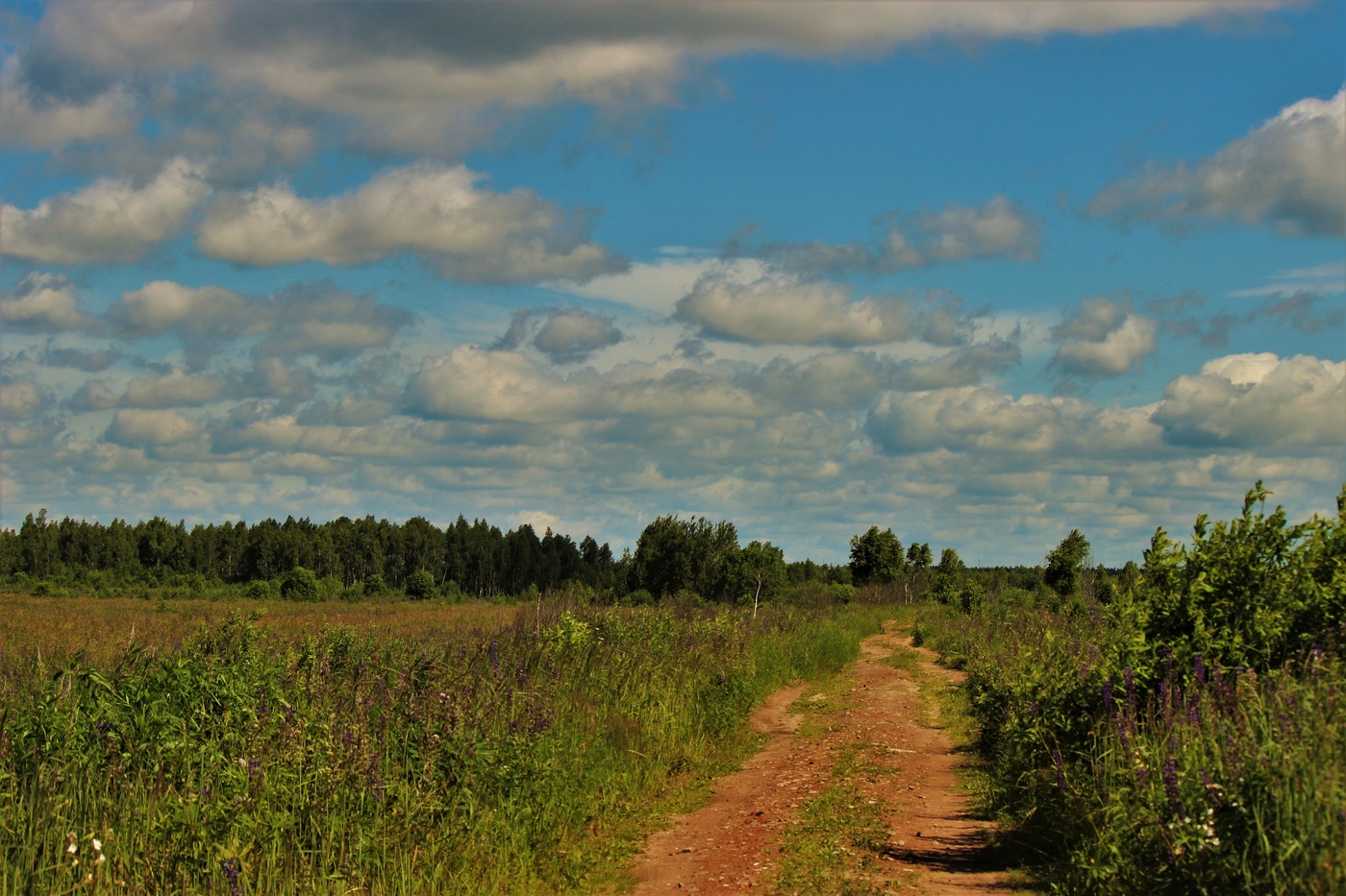 Straßen, die wir wählen