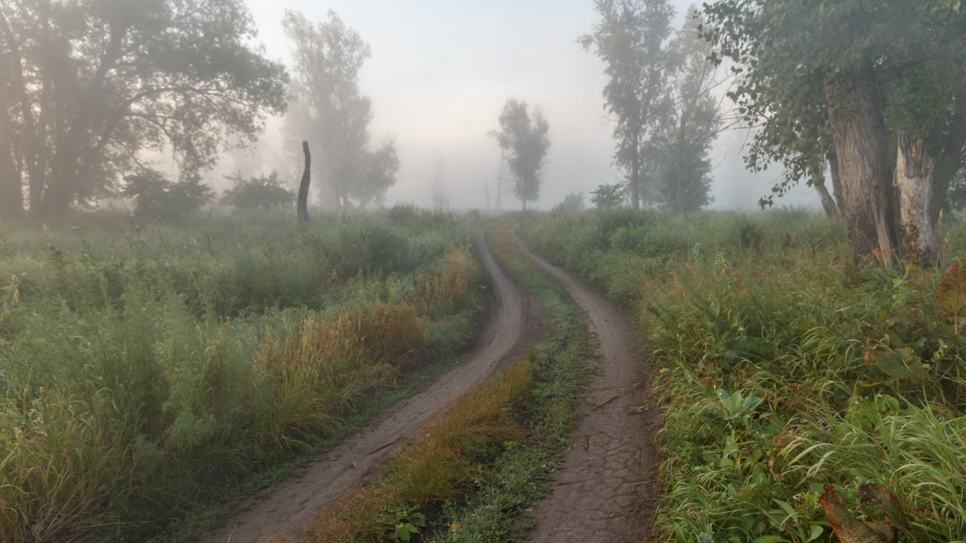 Straßen, die wir wählen