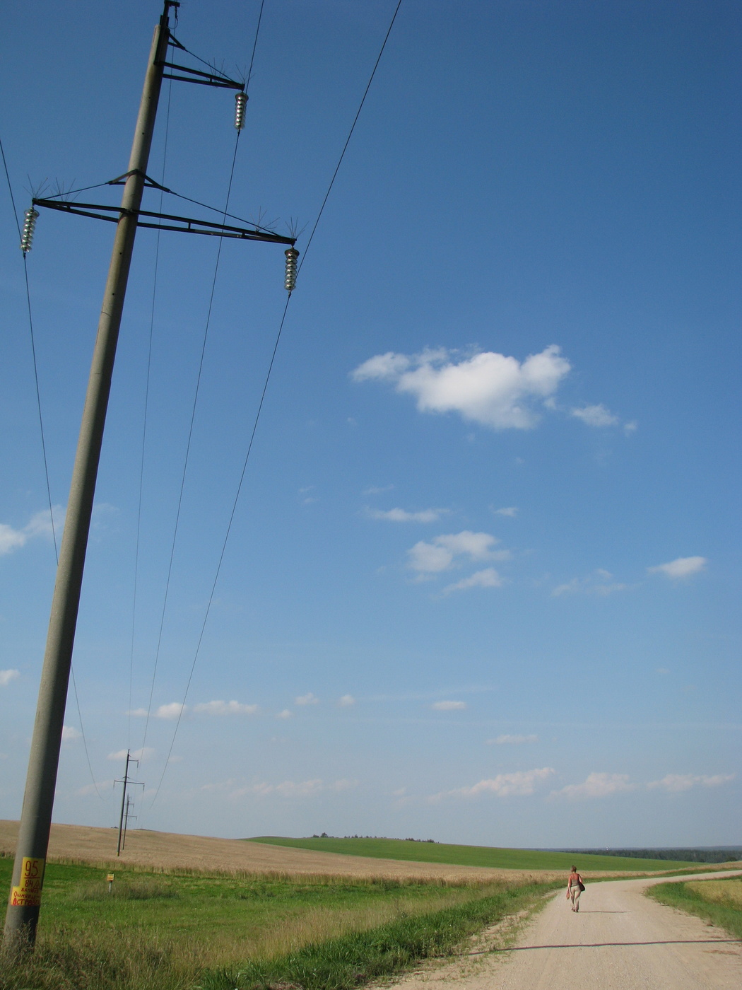Straßen, die wir wählen
