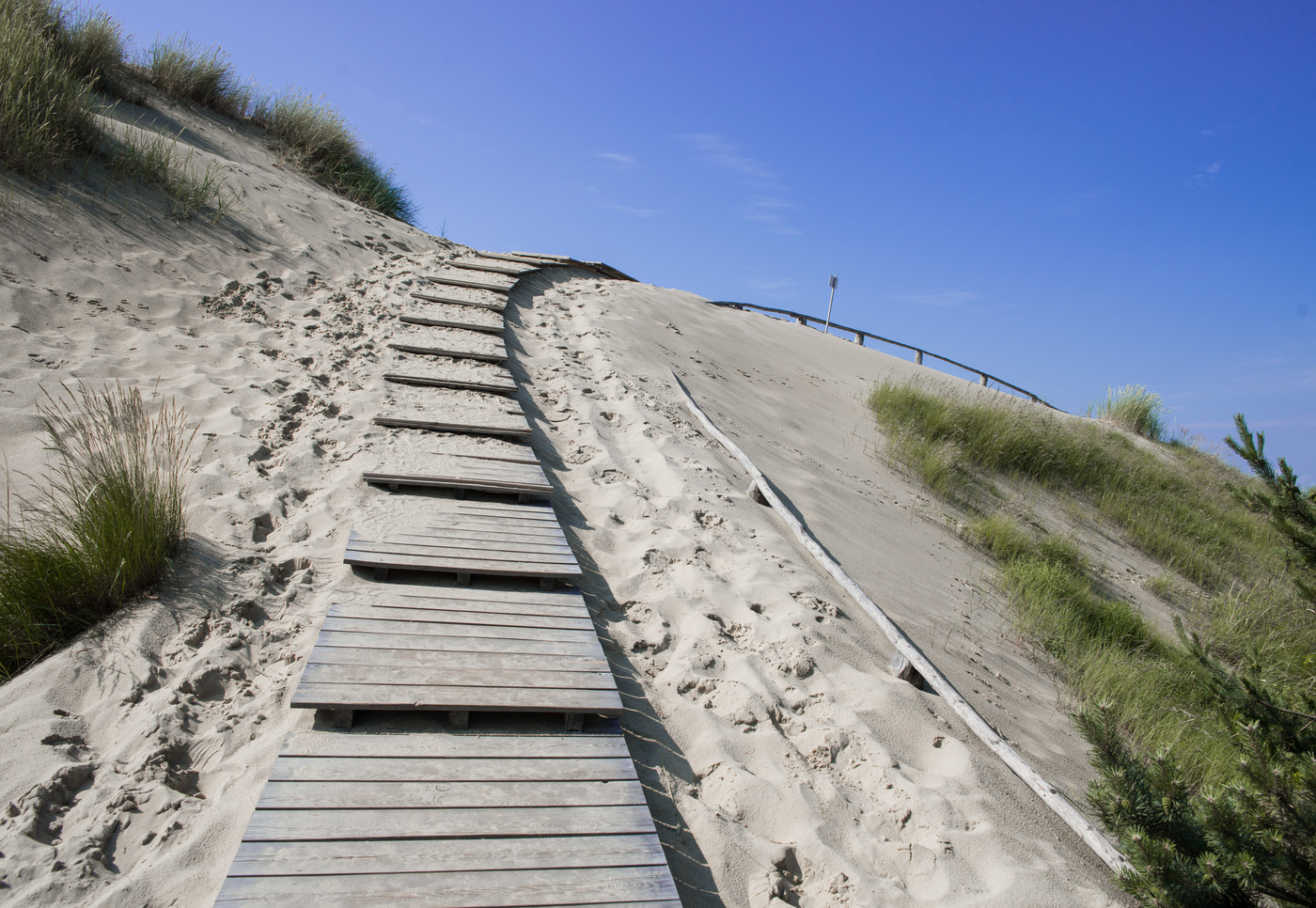 Straßen, die wir wählen