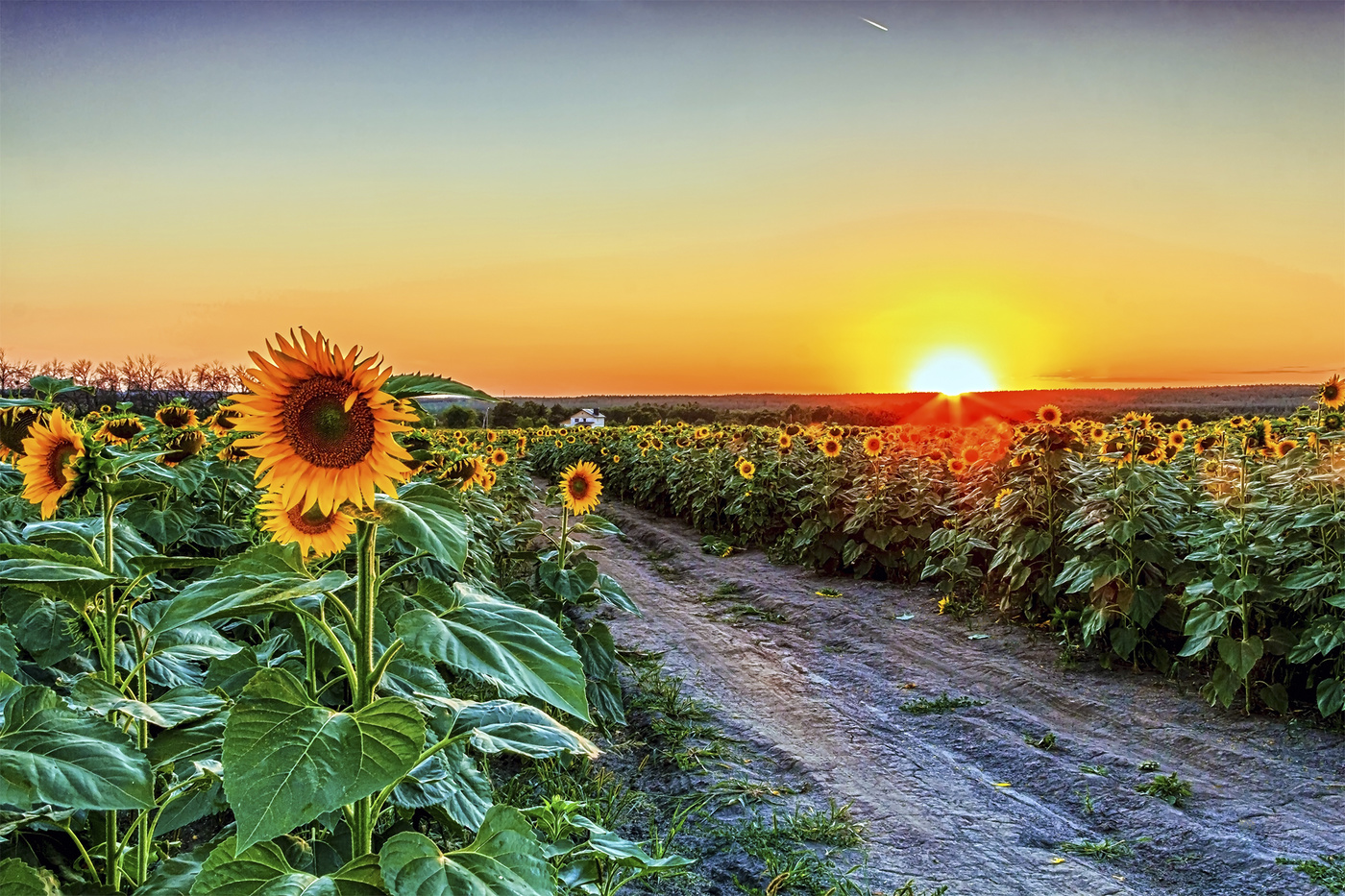 Straßen, die wir wählen