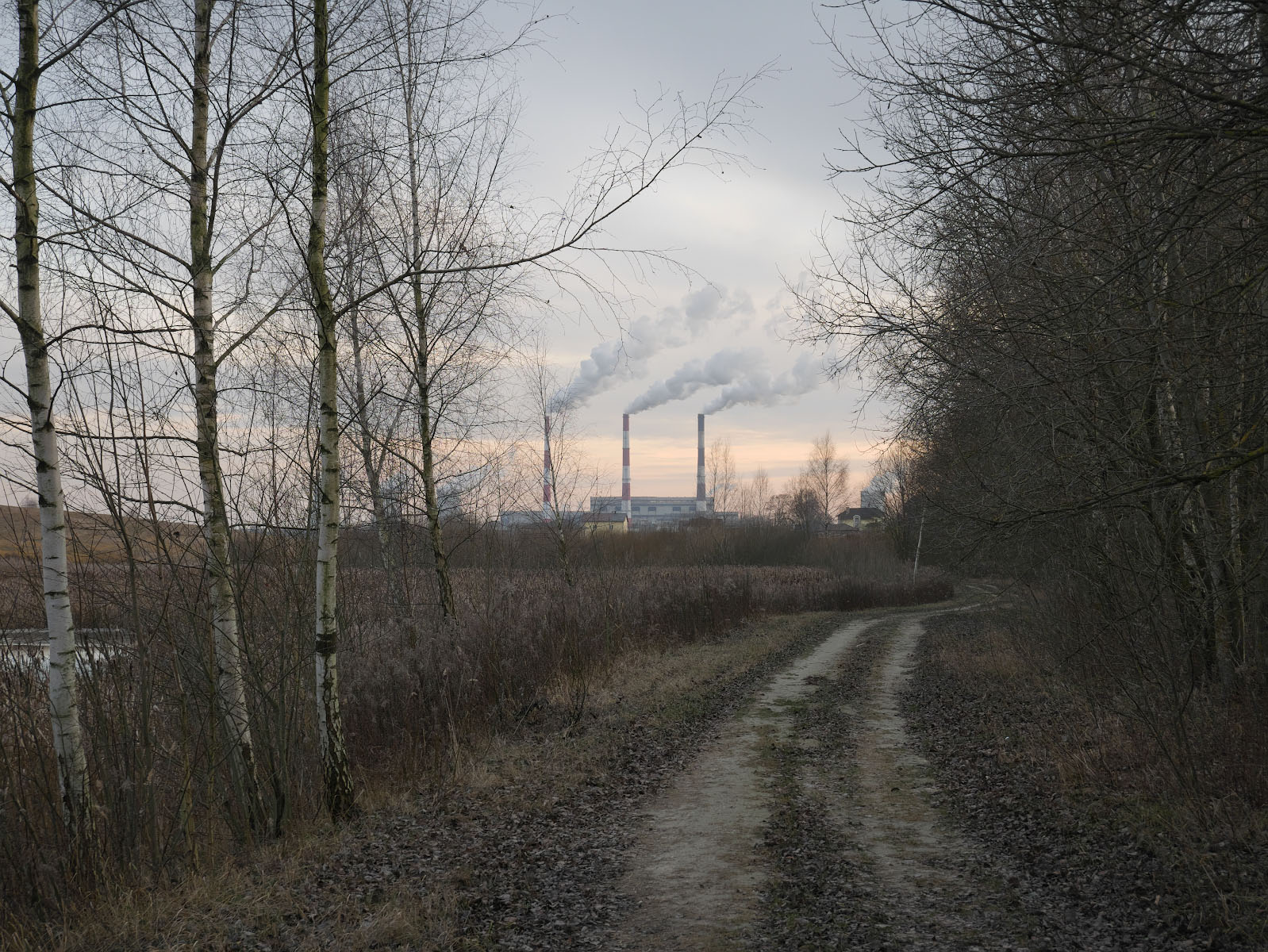 Straßen, die wir wählen