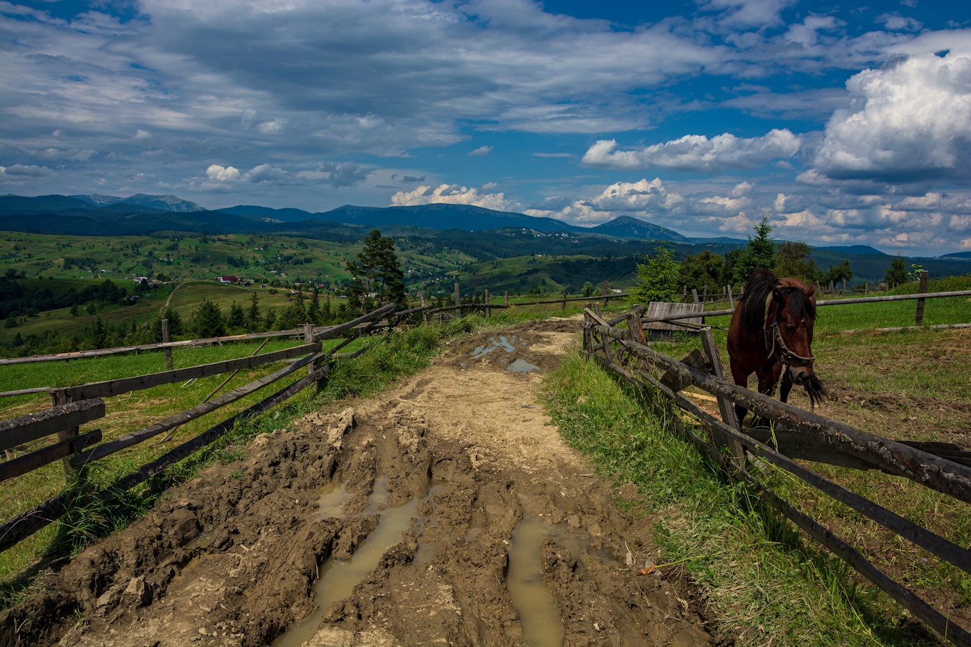 Straßen, die wir wählen