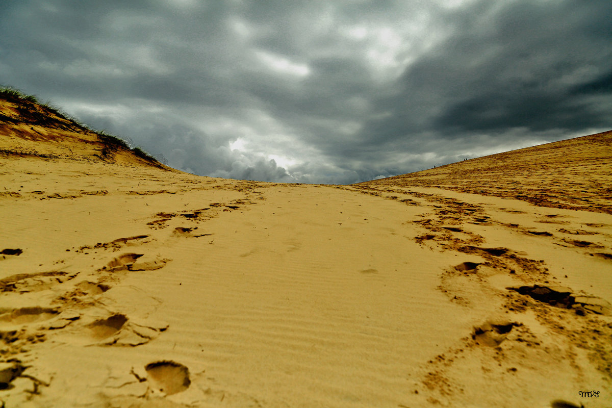 Straßen, die wir wählen