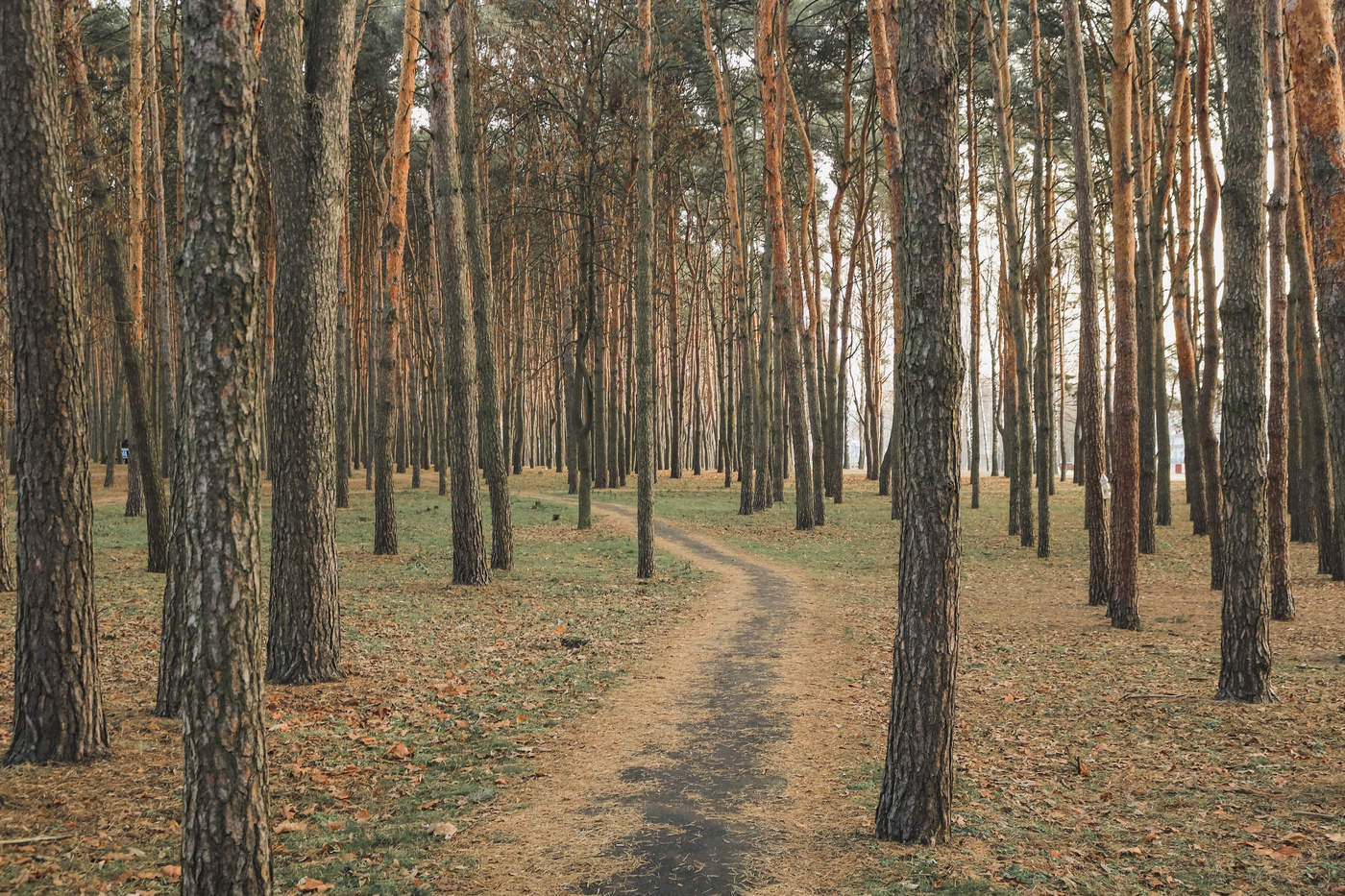 Straßen, die wir wählen