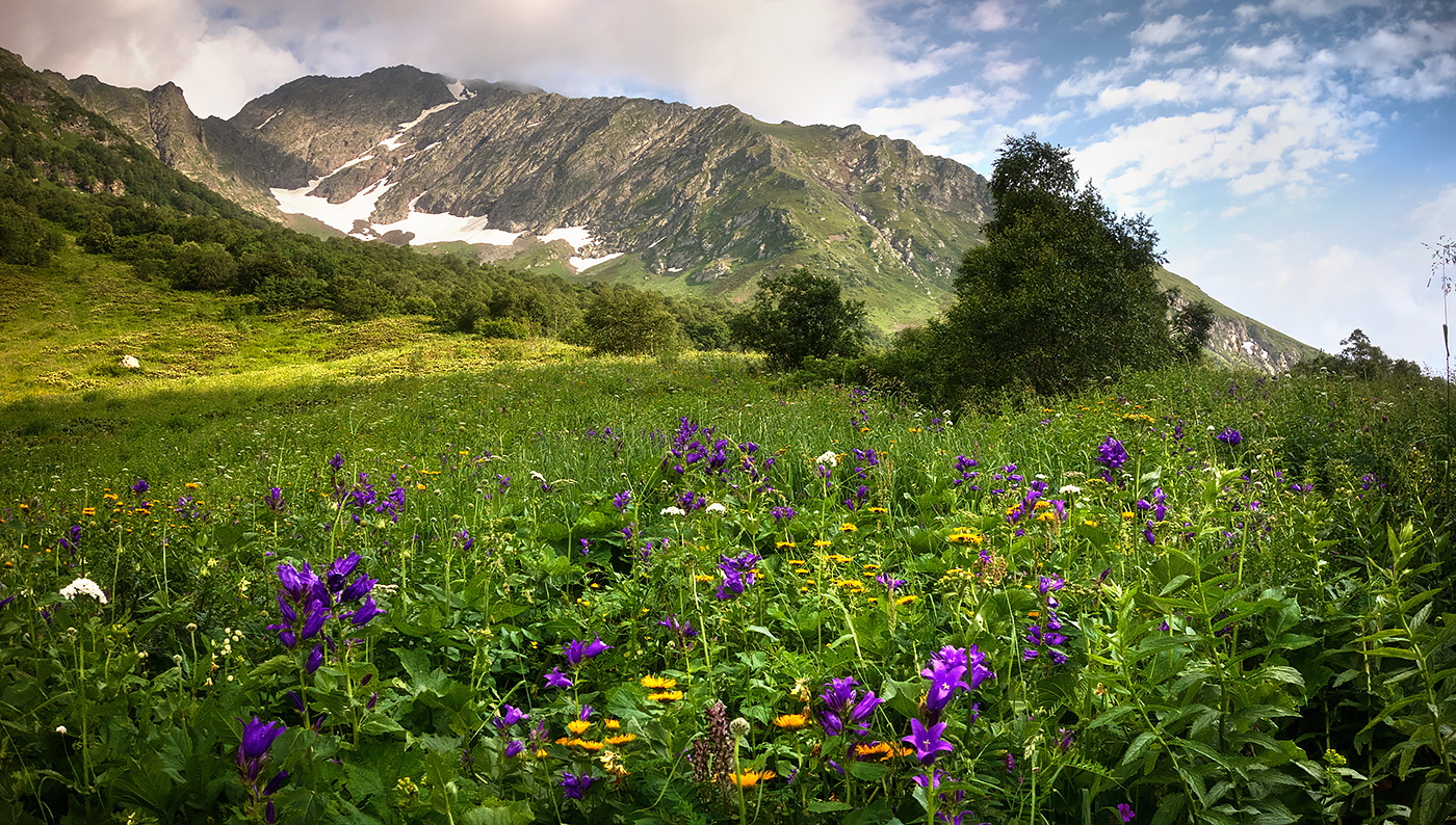 Sommer in den Bergen