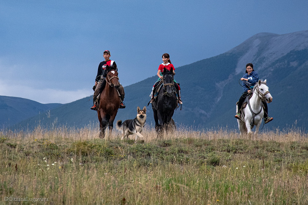 In Kurai Steppe