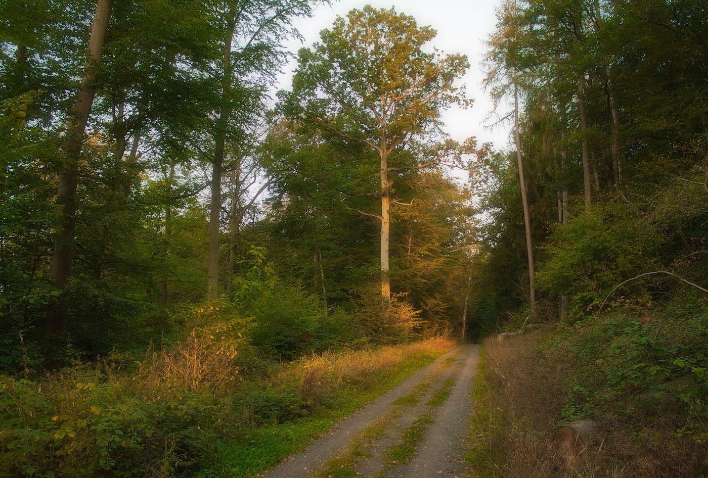 Mit den ersten Strahlen