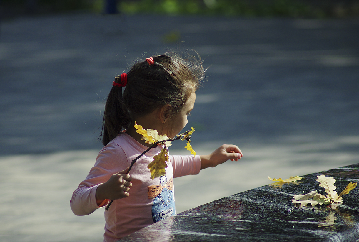Herbst in der Nähe ...