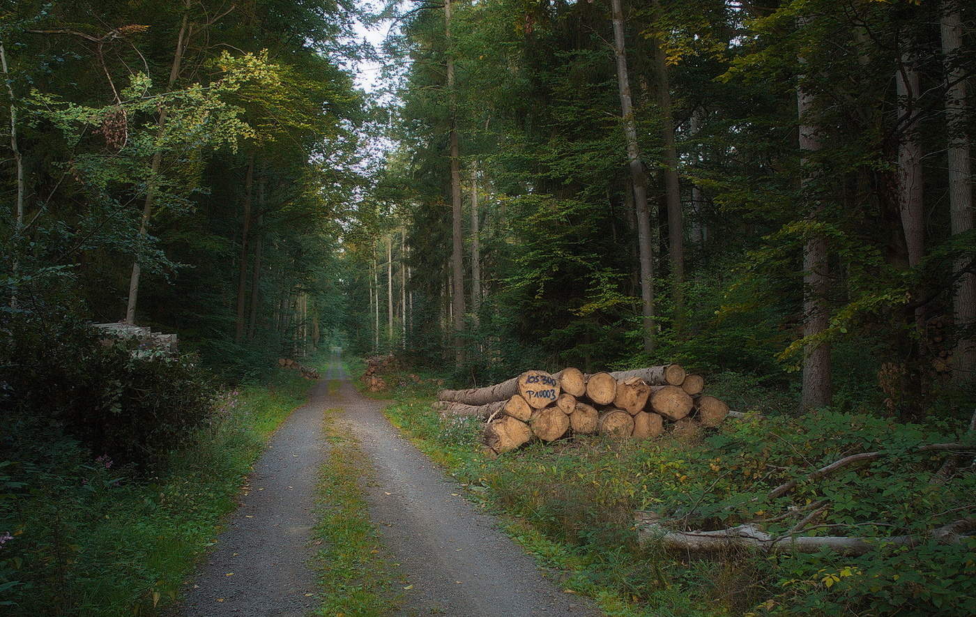 Straße zum Herbst