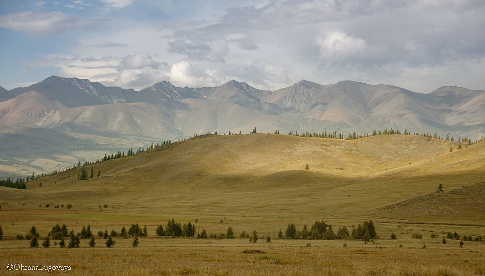 Kurai Steppe