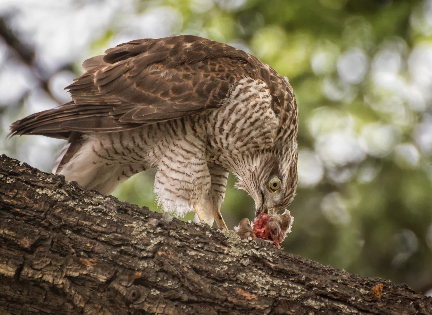 Mit der Produktion ..