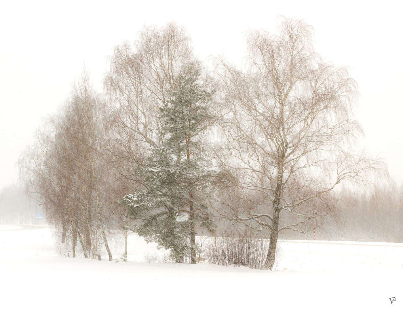 Der erste Schneesturm