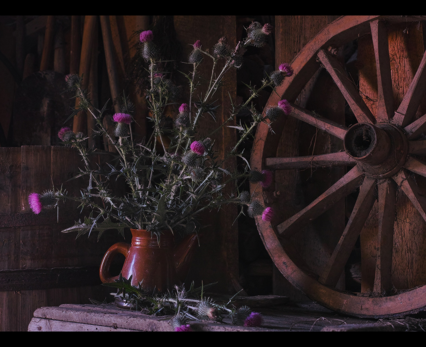 Nemo me impune lacessit