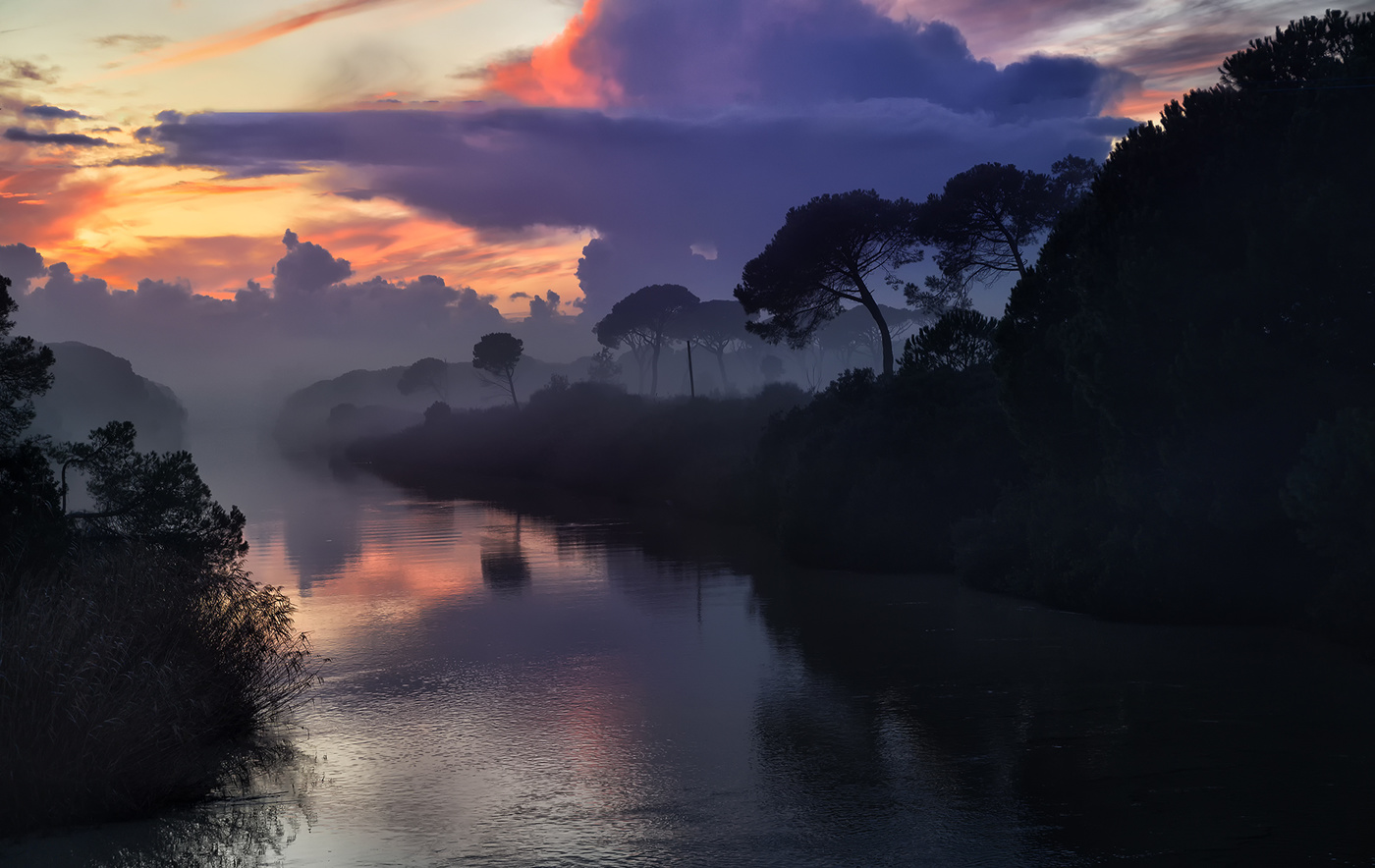 Nebel in der Toskana