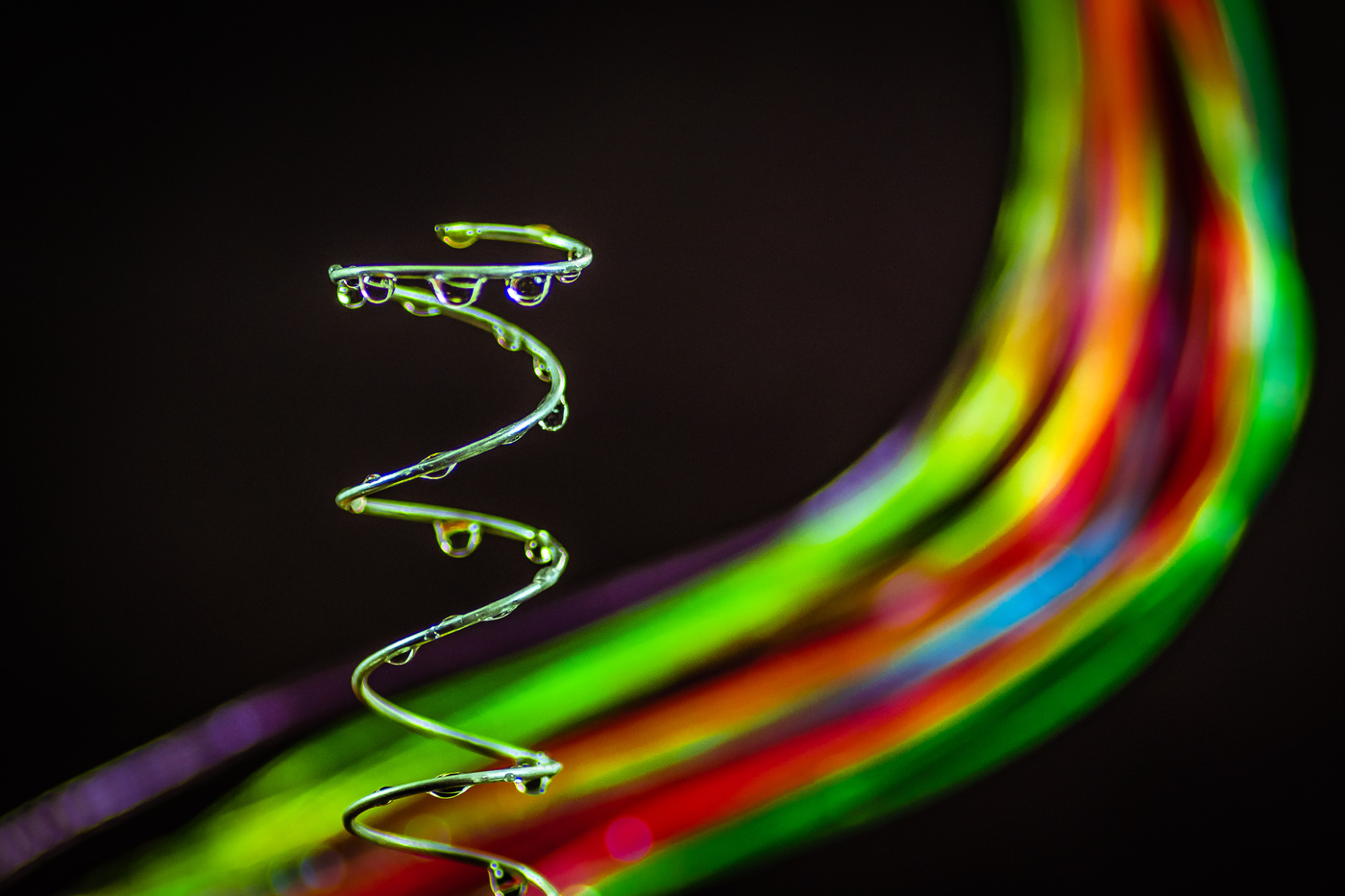 Cola de caballo de color.