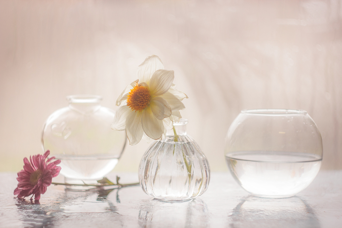 Zärtlichkeit der Natur