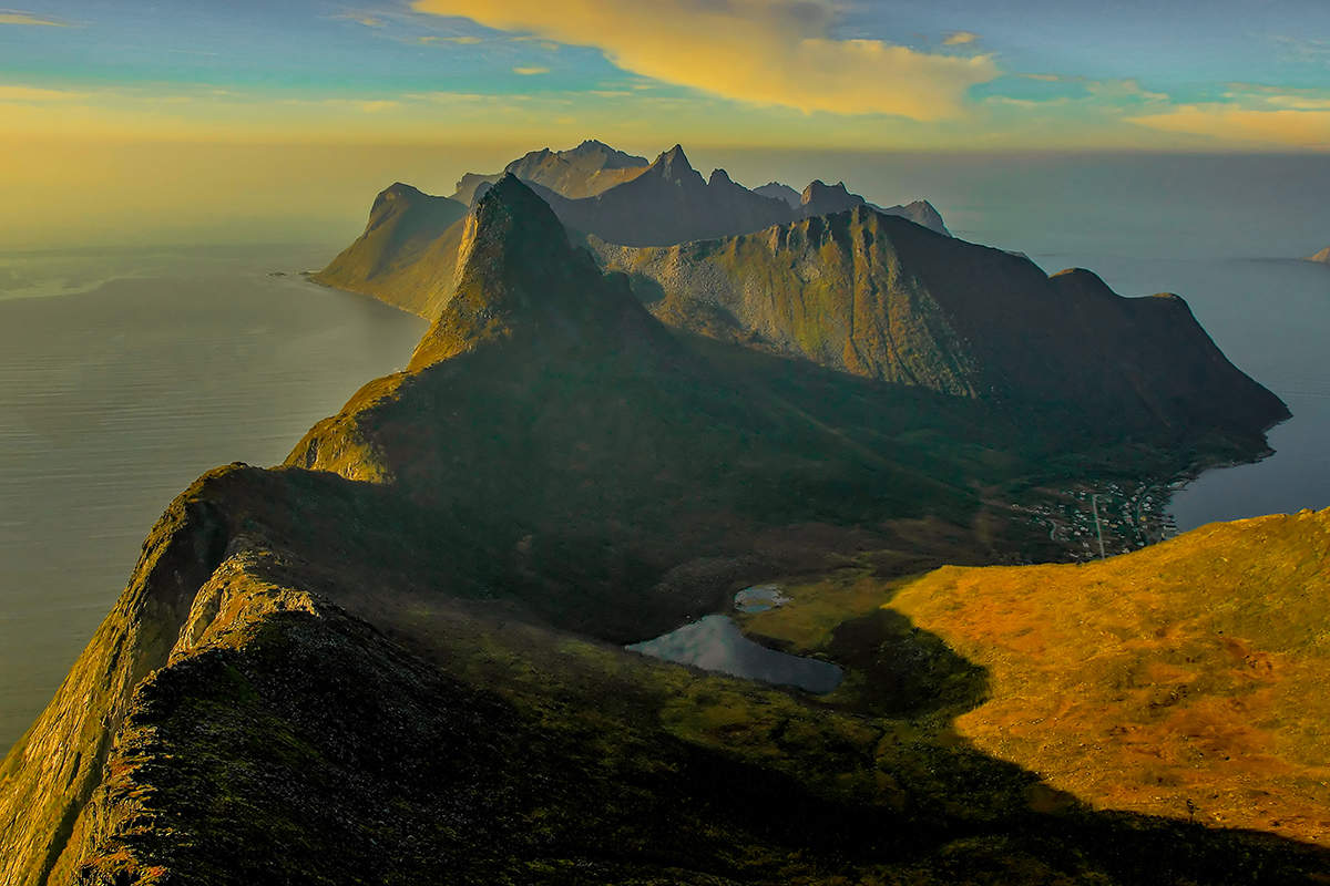 Frieden in der Handfläche