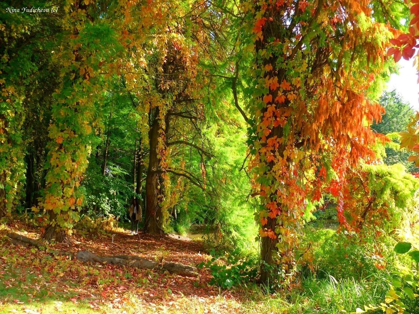 Loki Schmidt Garten Hamburg