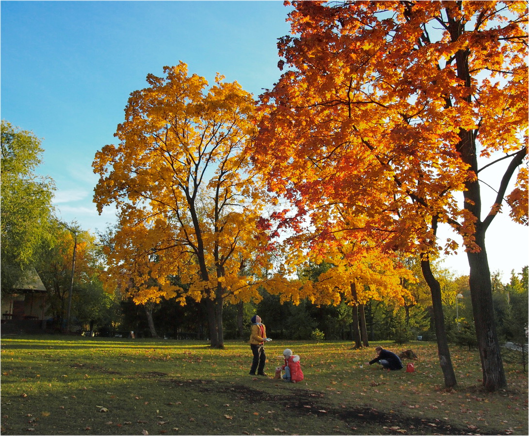 Im Herbst Park