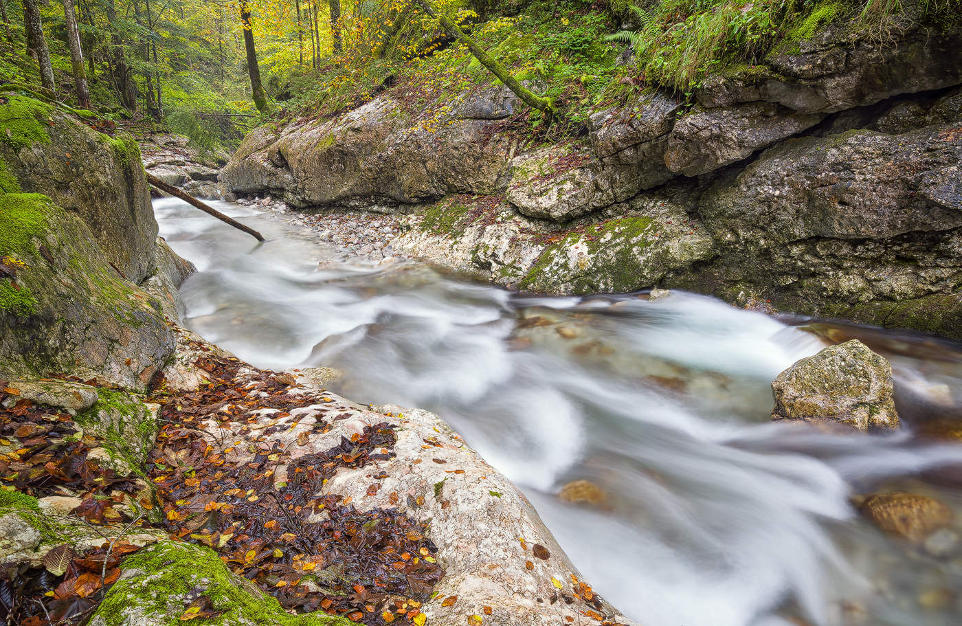 Herbstbeginn in der Taugl