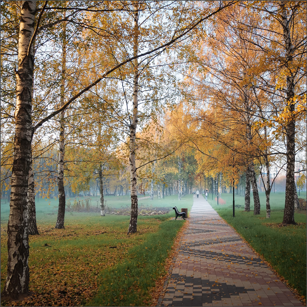 Im Herbst des Parks ...