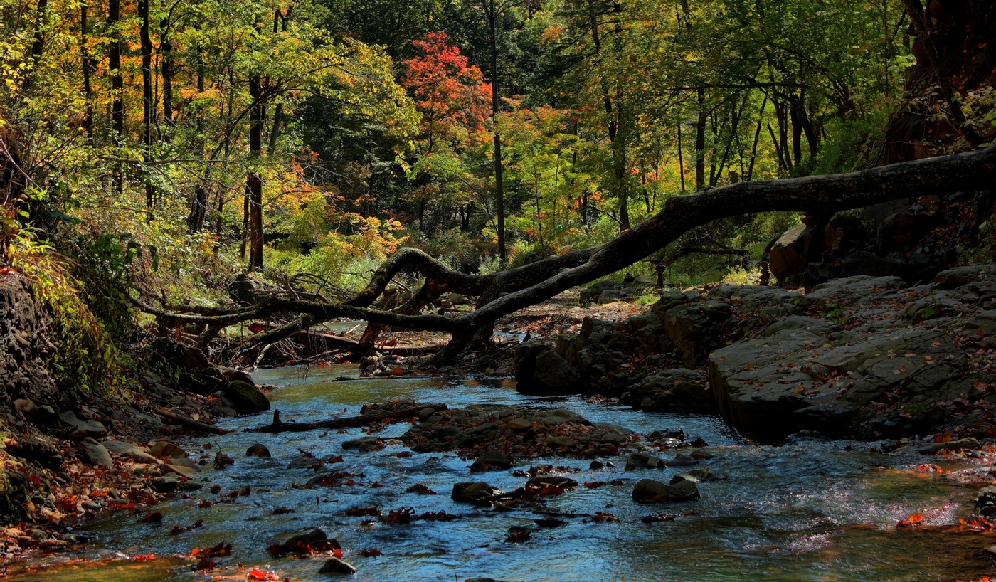 Oktober hat auf dem Hof ​​...